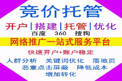 SEM竞价优化策略：成功案例解析
